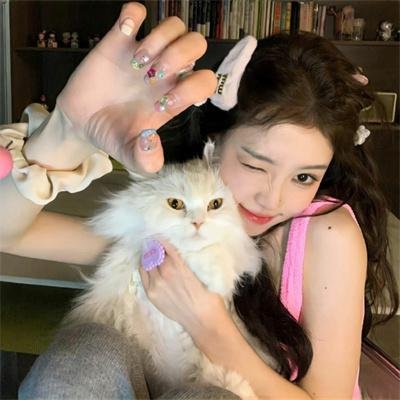 名侦探的法则 极速版